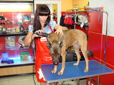 DSC02043