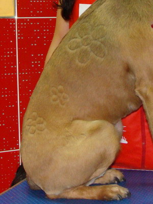 DSC02065