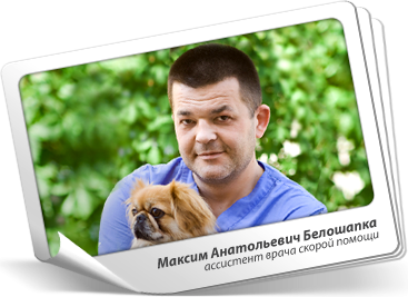 Белошапка