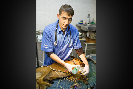slideshow_06