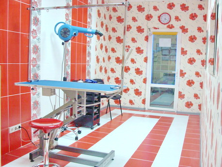 DSC0177520
