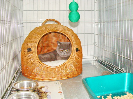 DSC08034